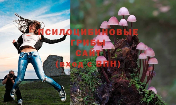 Альфа ПВП Нея