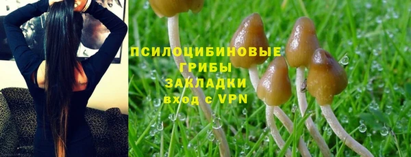 Альфа ПВП Нея