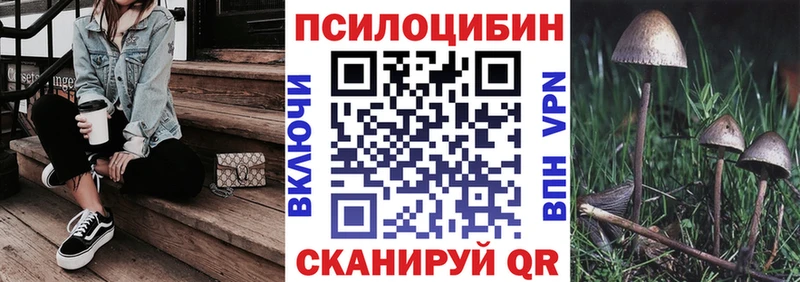 Псилоцибиновые грибы мицелий Луга